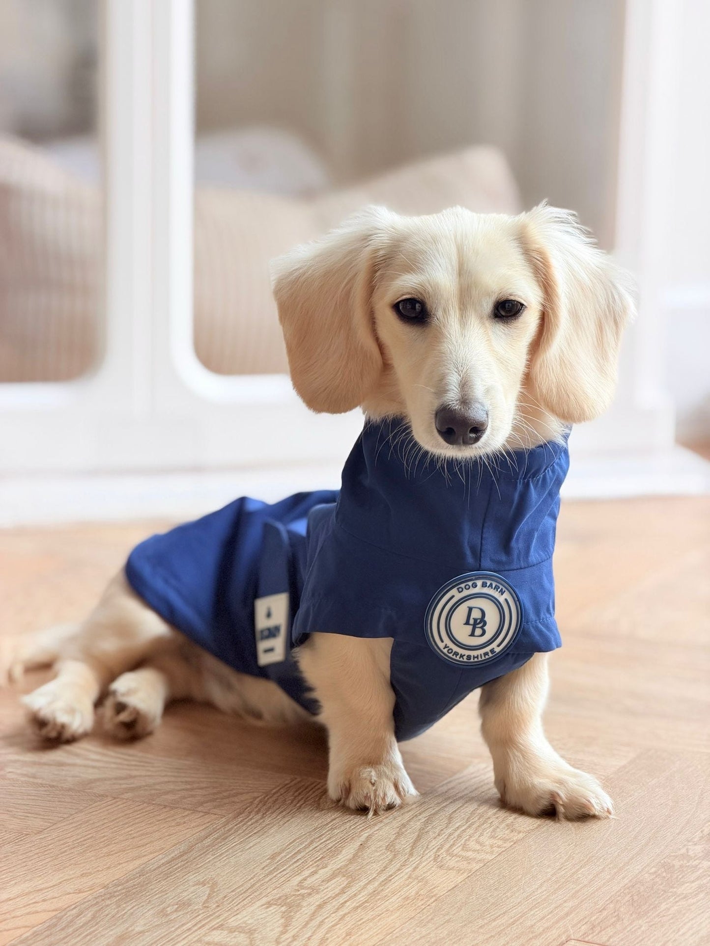 Dachshund Starlit Meadows Rain Jacket
