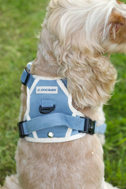 Blue Sky Moor Adventurer (Corded) Bundle