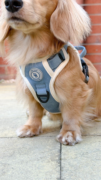 Dachshund Blue Sky Moor Adventurer Harness (Corded Material)