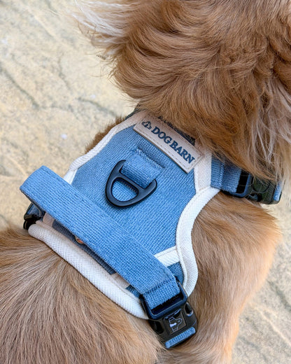 Dachshund Blue Sky Moor Adventurer Harness (Corded Material)