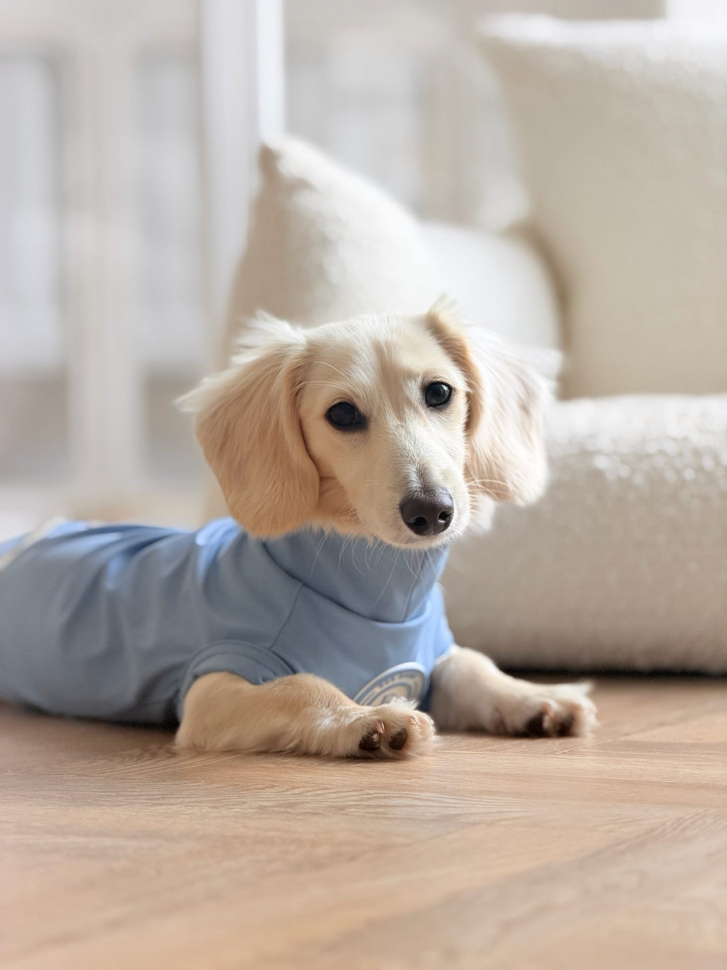 Dachshund Blue Sky Moor Summer T-Shirt