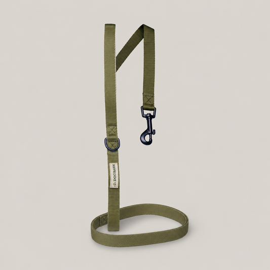 Forest Glade Adventurer Lead (Corded)