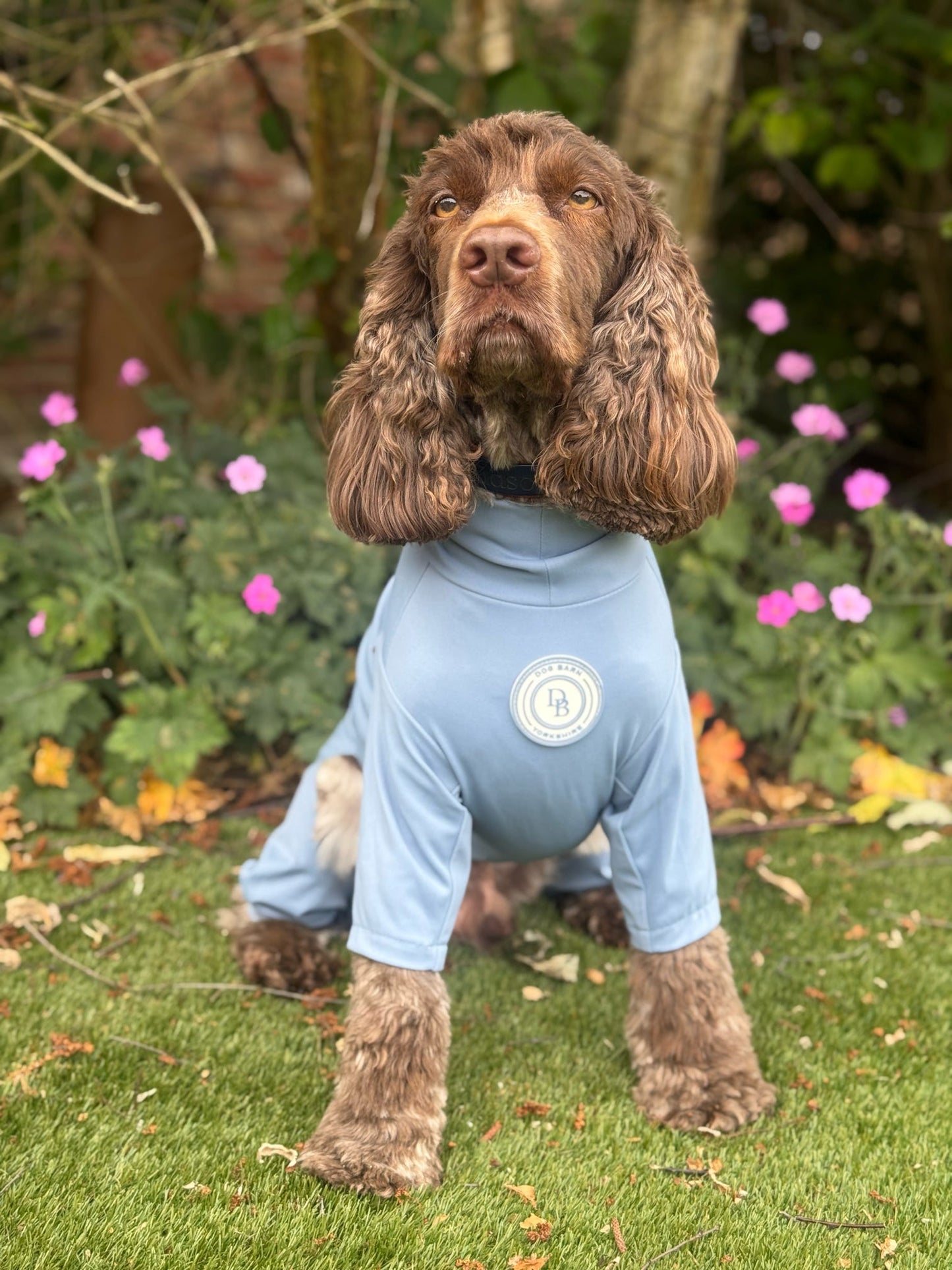 Blue Sky Moor Summer Suit