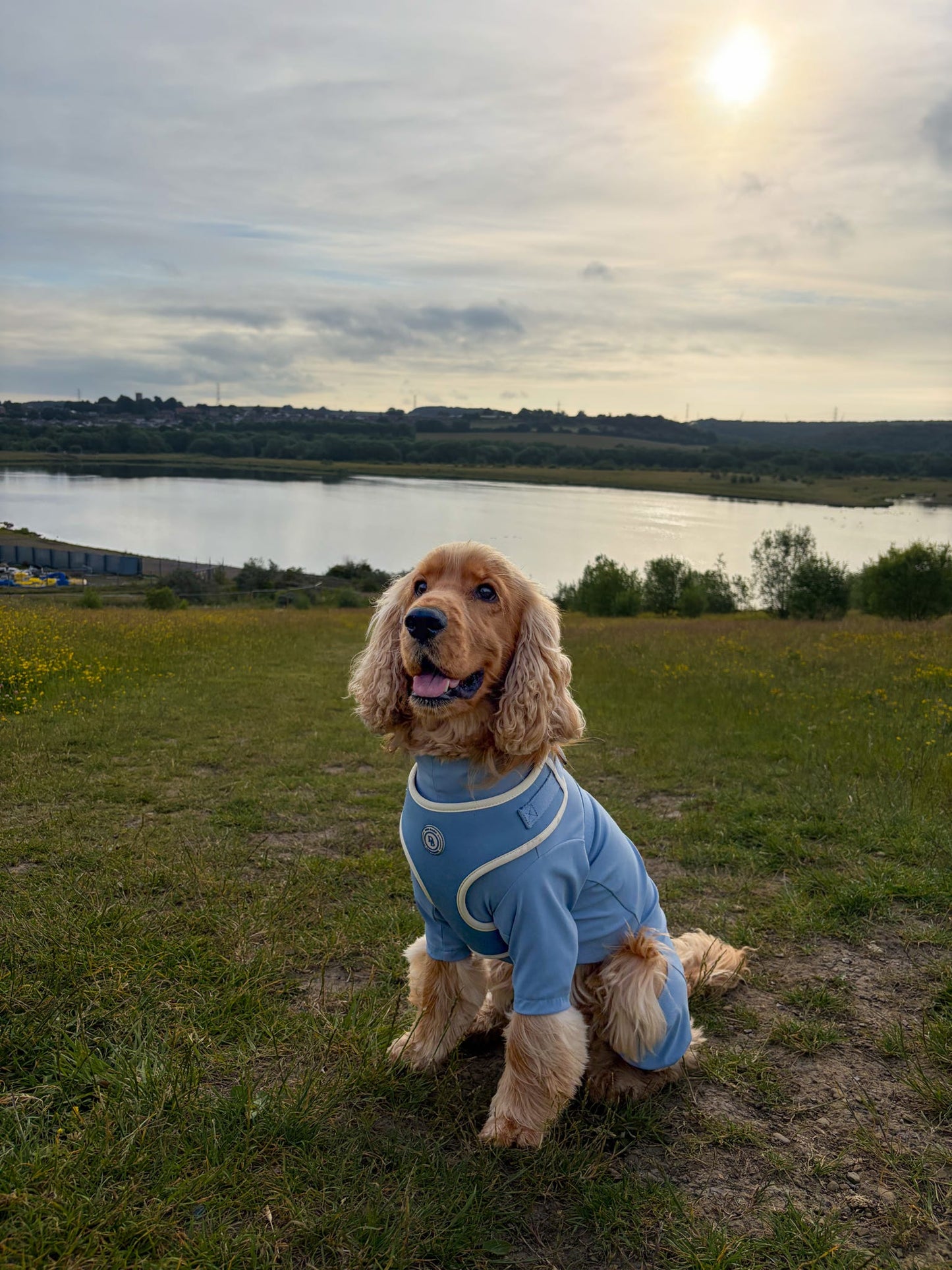Blue Sky Moor Harness