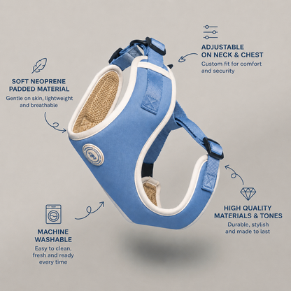 Blue Sky Moor Harness