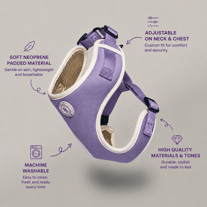 Lavender Meadow Harness
