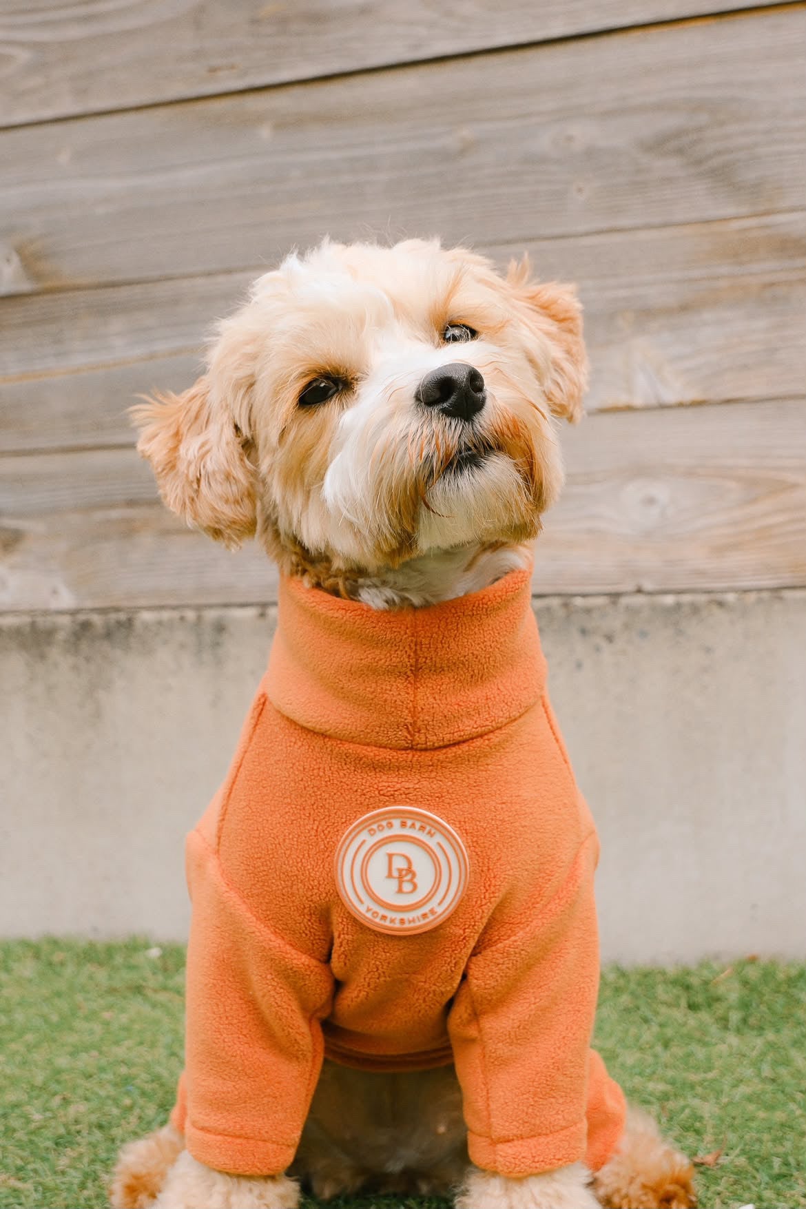Autumn Spice Fleece Suit