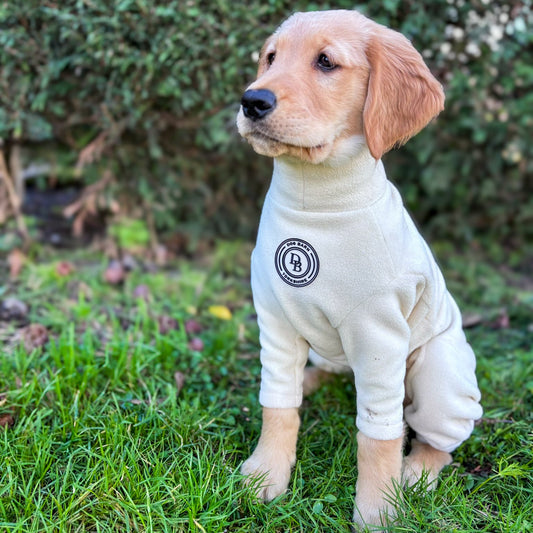 Ivory Dune Fleece Suit