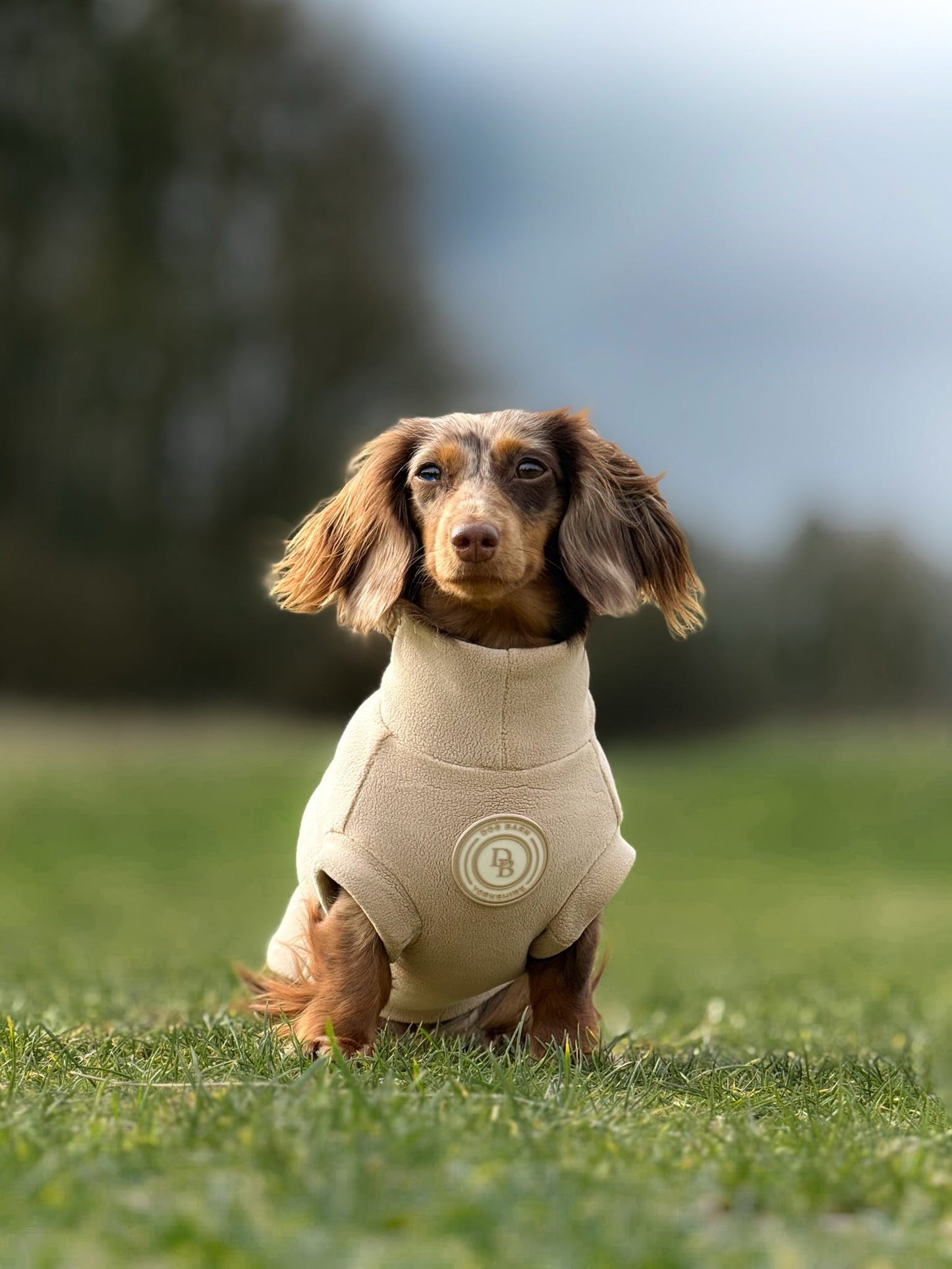 Barley Vale Dachshund Fleece