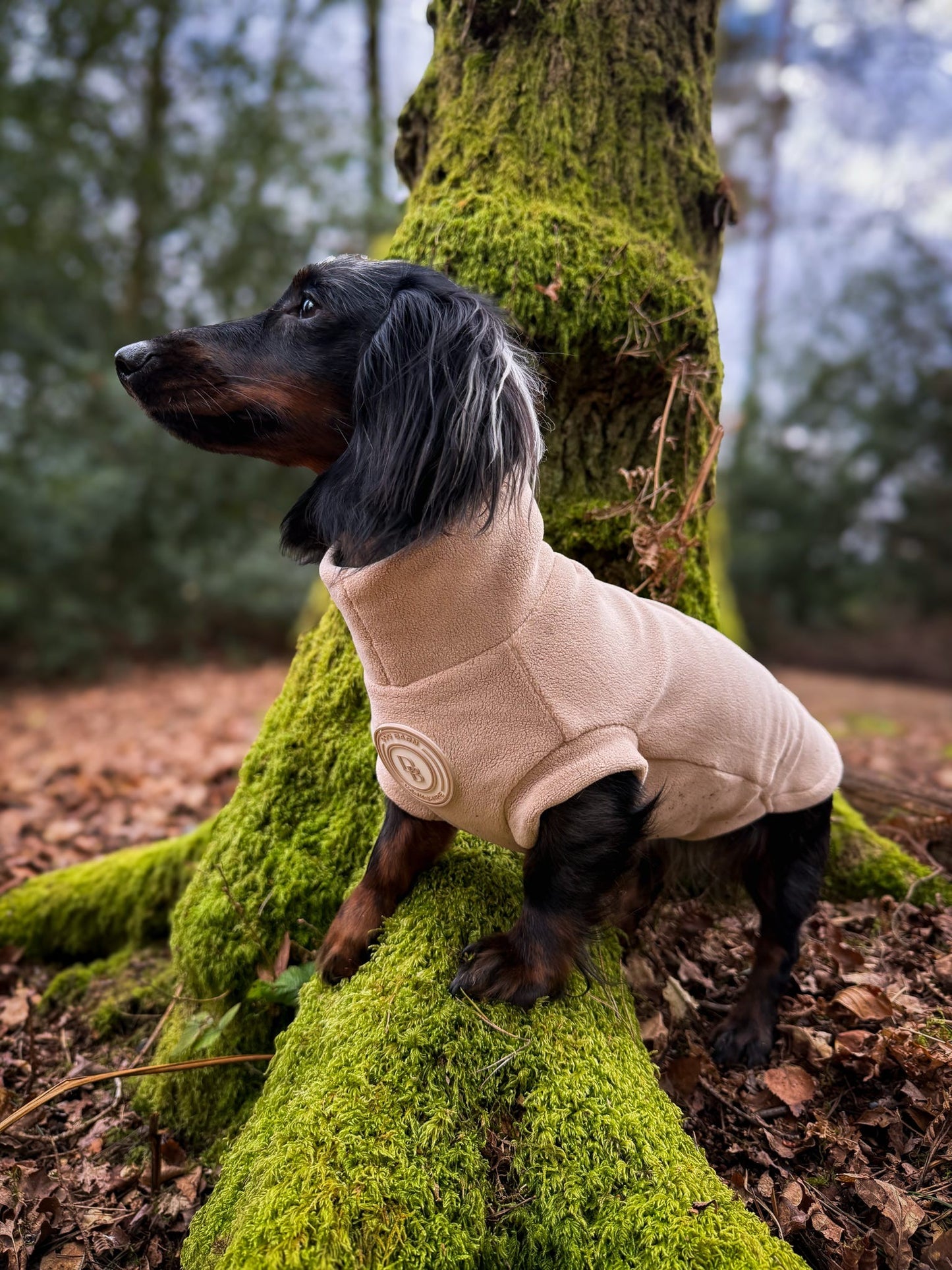 Barley Vale Dachshund Fleece