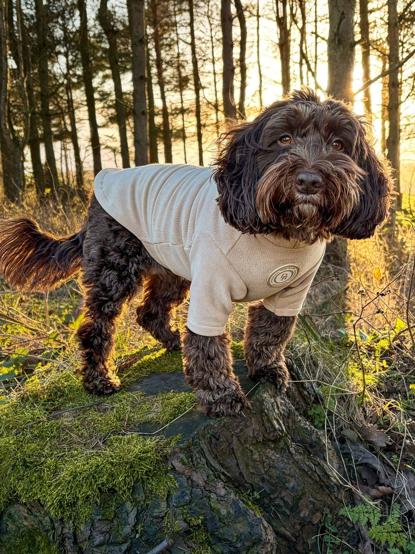 Barley Vale 2-Legged Fleece Jumper