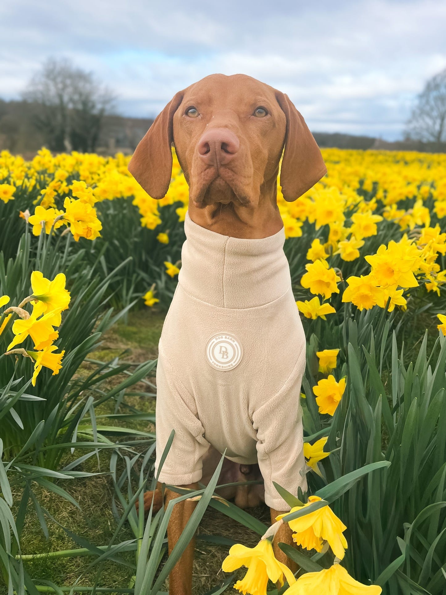 Barley Vale 2-Legged Fleece Jumper