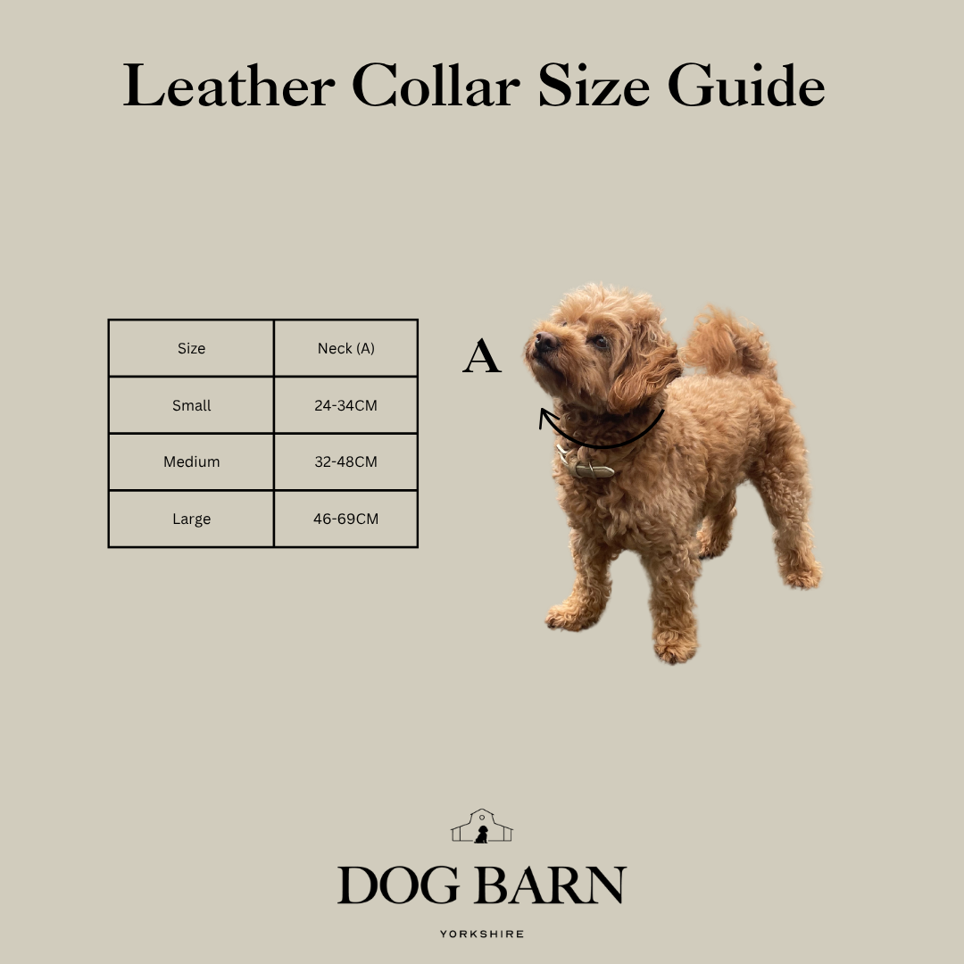 Leather Collar Size Guide for Dog Barn Tomahawk, featuring a size chart table, a pointer dog wearing the collar, and the brand logo on a solid beige background.