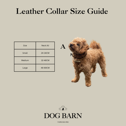 Leather Collar Size Guide for Dog Barn Tomahawk, featuring a size chart table, a pointer dog wearing the collar, and the brand logo on a solid beige background.