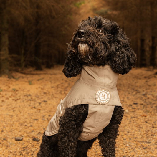 Truffle Dusk Rain Jacket