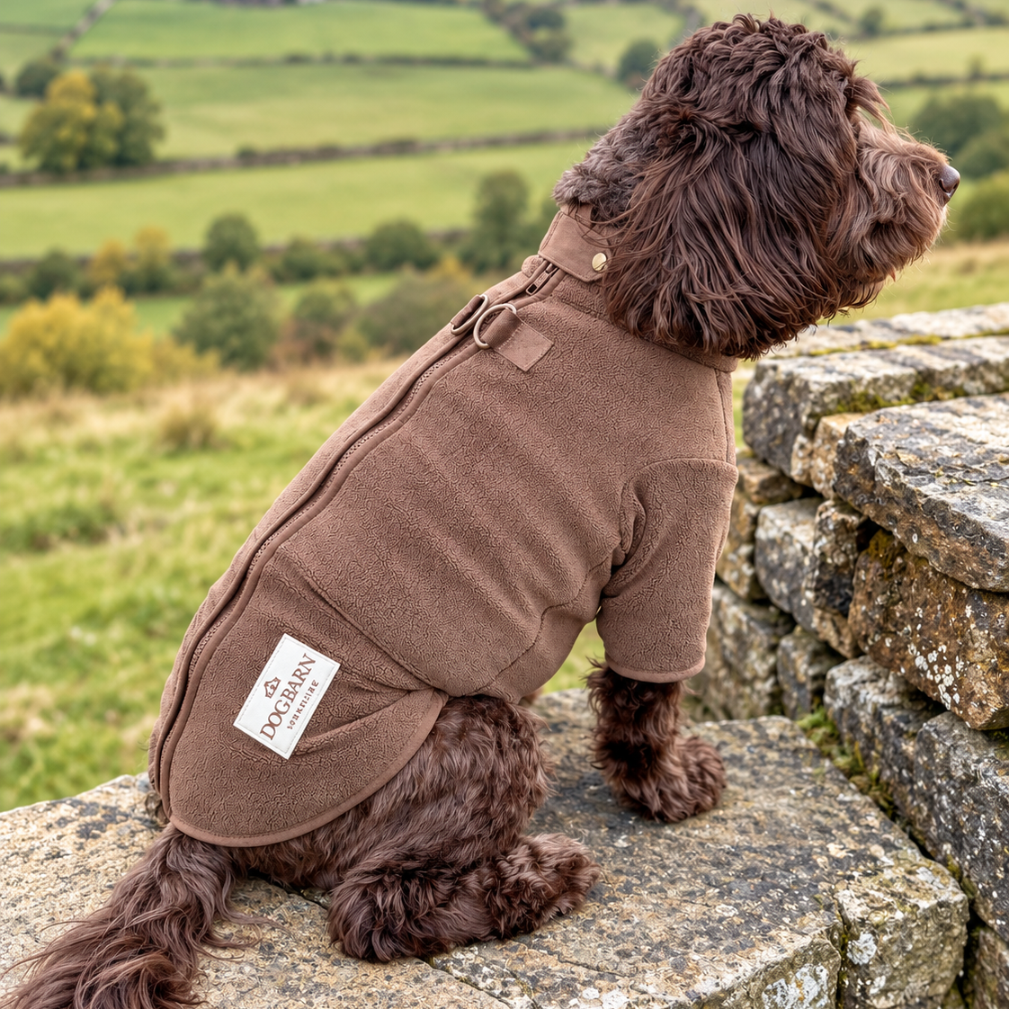 A brown long-haired dog wearing a matching brown fleece dog sweater sits on a stone wall overlooking a green countryside landscape. A white brand tag on the back of the sweater reads 'FASHION'.