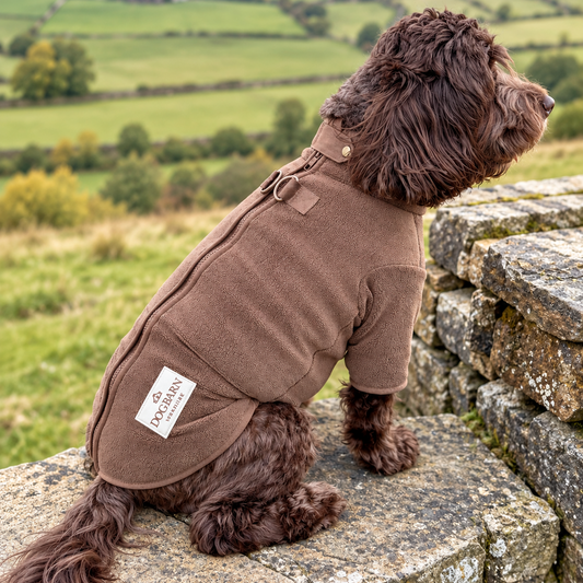 A brown long-haired dog wearing a matching brown fleece dog sweater sits on a stone wall overlooking a green countryside landscape. A white brand tag on the back of the sweater reads 'FASHION'.