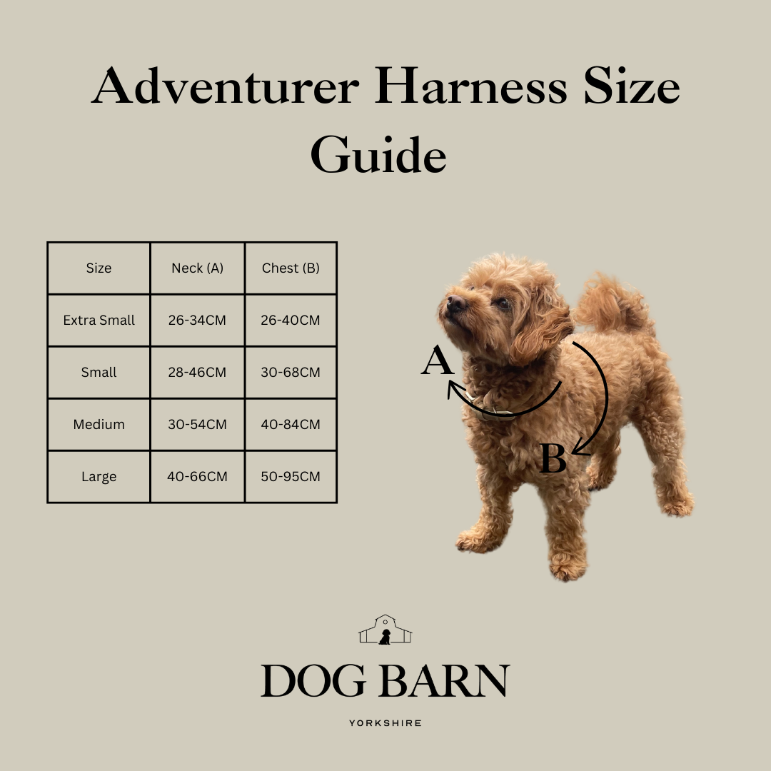 Dog harness size guide with a dog illustration and measurement chart on a beige background.