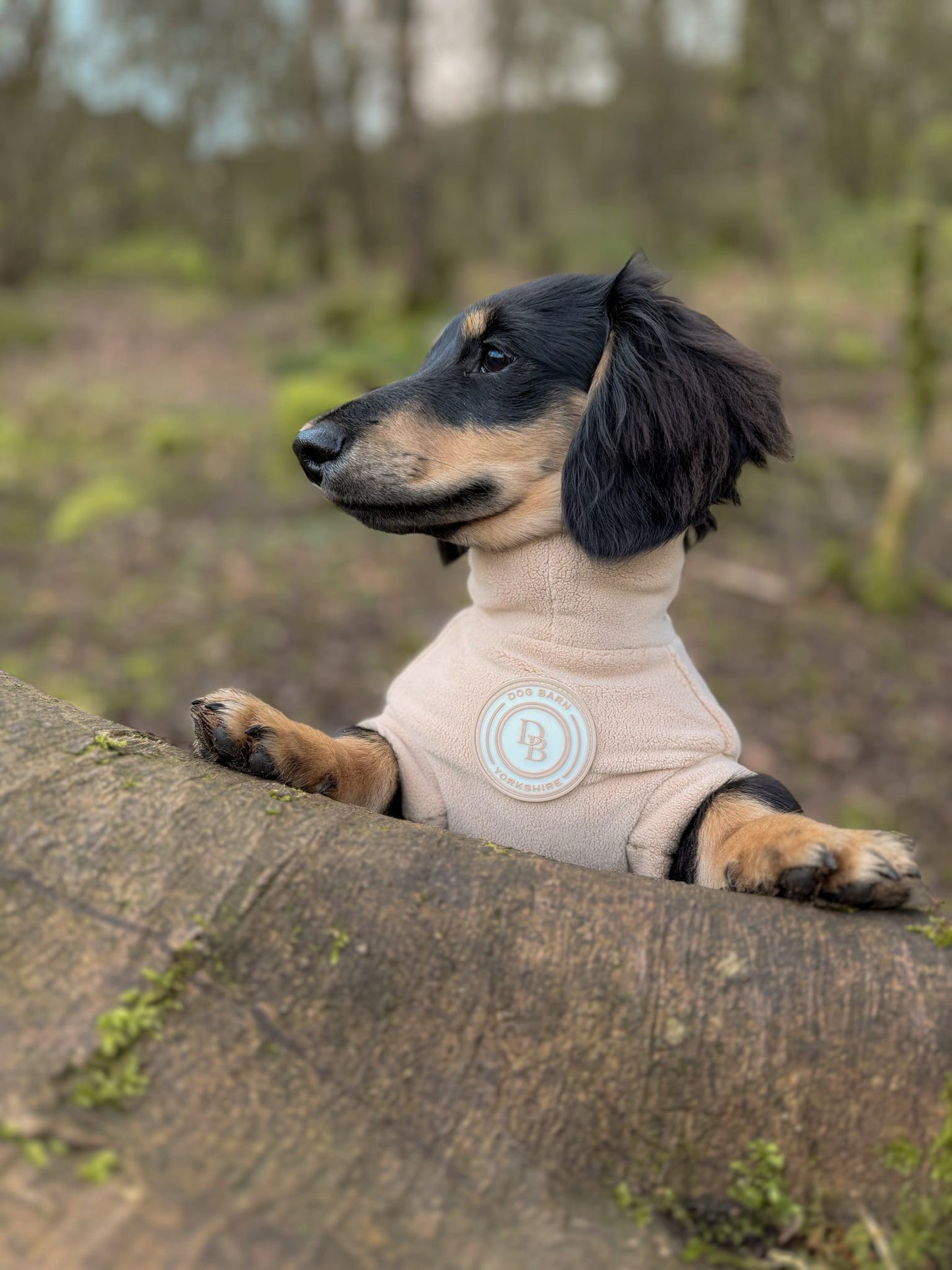 Barley Vale Dachshund Fleece
