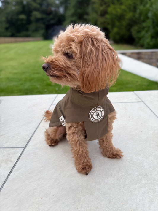 Dachshund Chestnut Trail Rain Jacket